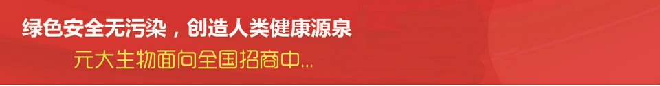 風(fēng)濕骨病